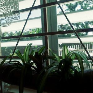 Meet your Posher, Gladys